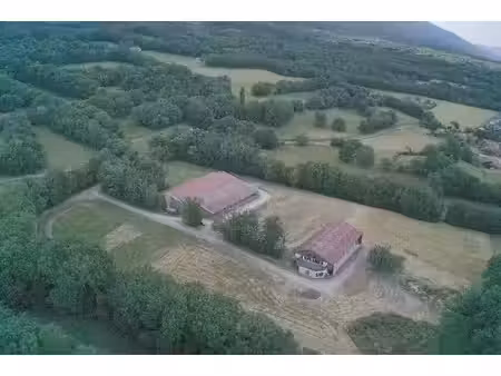 immobilier professionnel à vendre saint-jean-de-gonville