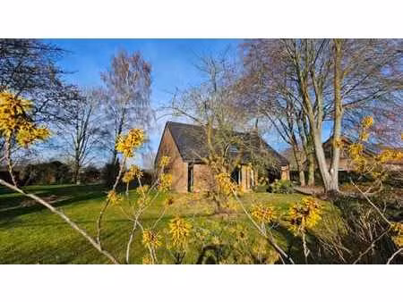 villa d’architecte avec grand jardin et garage à remicourt