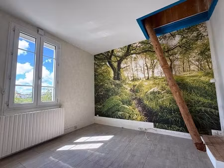 maison yzeure avec dépendance cave jardin puits atelier