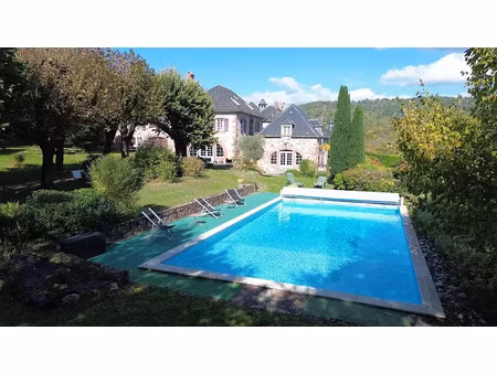 vente maison 260 m² à meyssac (19500)  650 000 €