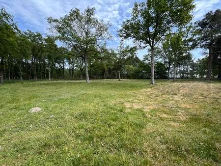 vente terrain à la suze-sur-sarthe (72210) : à vendre / 1512m² la suze-sur-sarthe