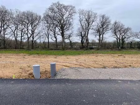 vente terrain à saint-père-en-retz (44320) : à vendre / saint-père-en-retz