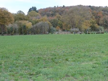 vente terrain à mayenne (53100) : à vendre / mayenne