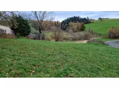saint didier en velay 43140 parcelle de terrain 2800m² constructible et 4500m² non...