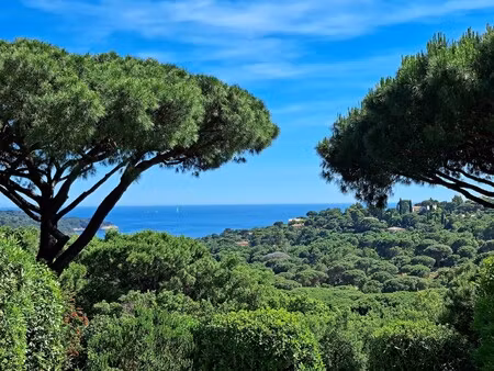 villa de luxe à vendre à la croix-valmer