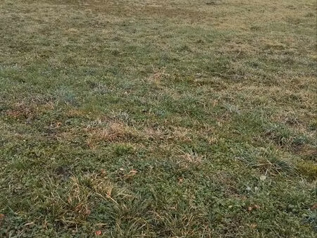 terrain à bâtir