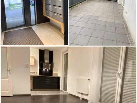 appartement t3 en préavis