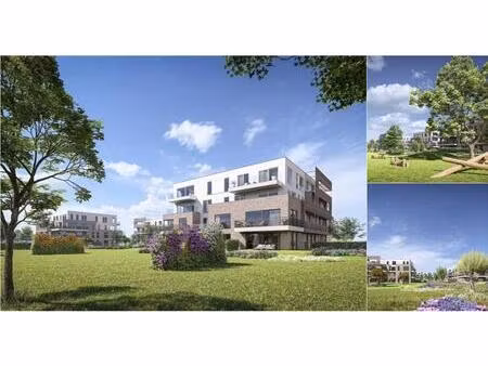 appartement à vendre à sportweg stabroek (rbv85663)