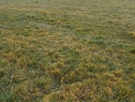 terrain à bâtir