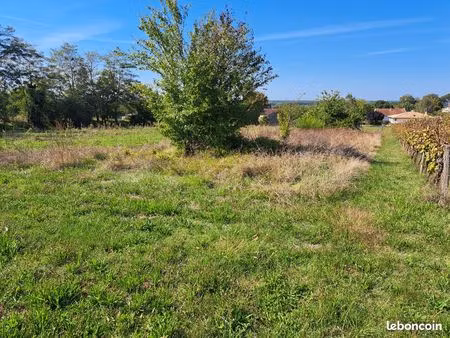 terrain agricole   jardin  animaux  potager aire de jeu