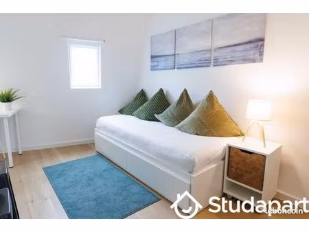 appartement 1 pièce 20 m²