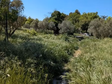 terrain