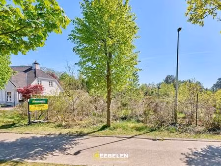 terrain à vendre à lommel € 295.000 (lnzvh) - geebelen vastgoed | zimmo