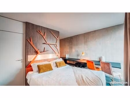studio 1 pièce 20 m²