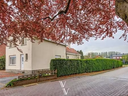 maison à vendre à pulle € 269.000 (lnigb) - van breda vastgoed | zimmo