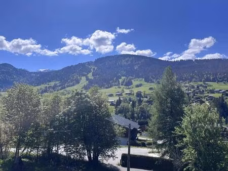 opportunité - praz sur arly