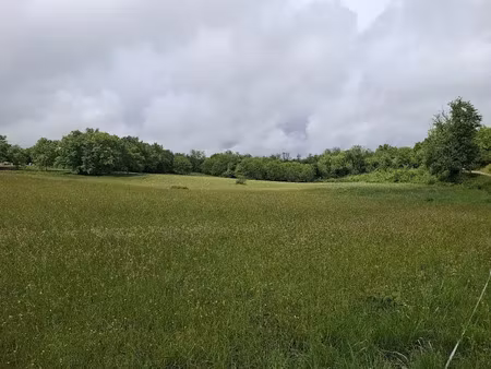 vente terrain à blis-et-born (24330)  55 000 €