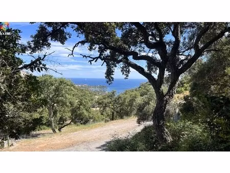 domaine privé à agay – terrain vue mer avec projet prêt à démarrer