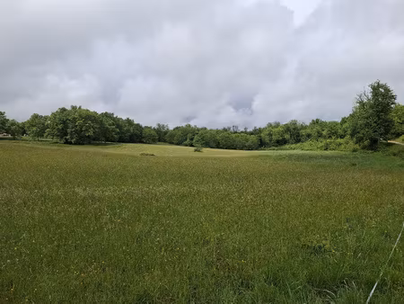 très beau terrain de 5 hectares avec partie constructible