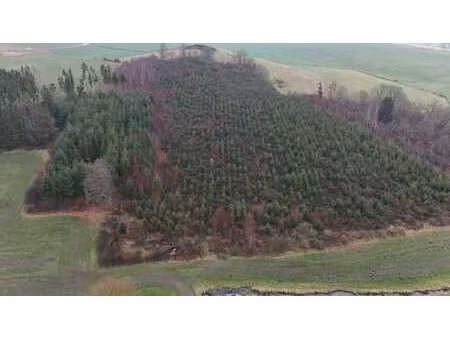 propriété forestière de 3 ha d'un seul tenant  commune de ba