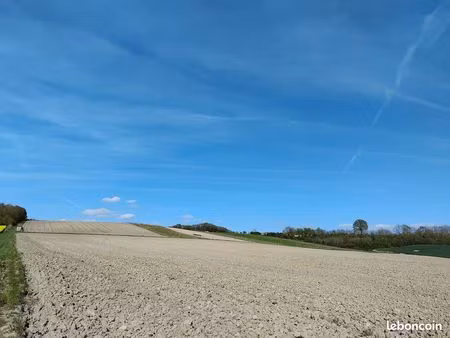 rare – vignoble de 4 80 ha plein sud – sud ardennes