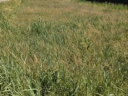 terrain constructible 600 m2