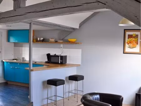 apparemment t2  40m2 meublé  danton  rond point