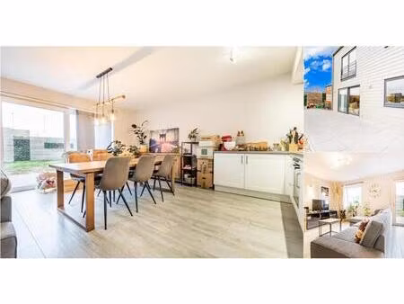 appartement à louer à place lucien molitor 1d02 hermalle-sous-argenteau (vbe19911)