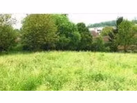 vente terrain 326 m² à belfort (90000)  44 010 €