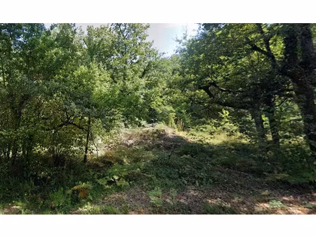 vente terrain 5742 m² à campagne (24260)  25 000 €