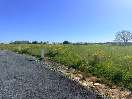 vente terrain 464 m² à chaillé-les-marais (85450)  33 000 €