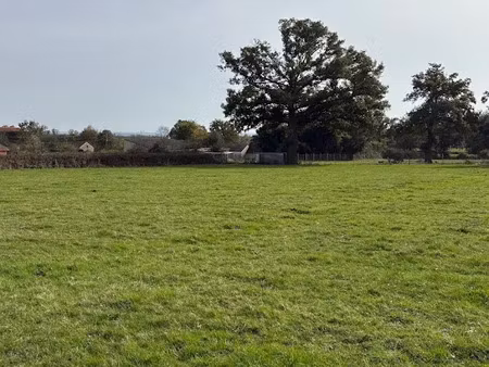 vente terrain 1980 m² à chassenard (03510)  25 000 €