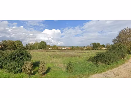 vente terrain 911 m² à chouppes (86110)  22 775 €