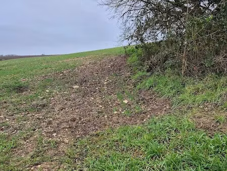 vente terrain 1150 m² à genac (16170)  13 500 €