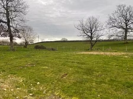 vente terrain 995 m² à gueugnon (71130)  32 309 €