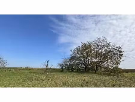 vente terrain 950 m² à la roche-posay (86270)  32 497 €