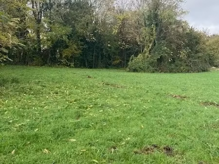 vente terrain 3000 m² à la vendue-mignot (10800)  46 000 €