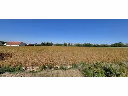 vente terrain 974 m² à laignes (21330)  15 000 €