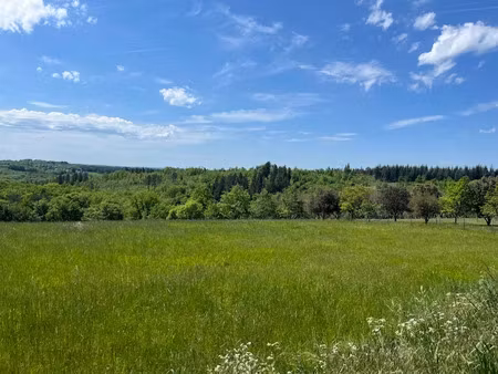 vente terrain 1200 m² à le roc (46200)  21 600 €