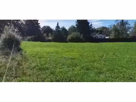 vente terrain 2561 m² à meillard (03500)  33 500 €