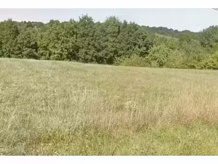 vente terrain 3192 m² à rouffignac-saint-cernin-de-reilhac (24580)  45 000 €