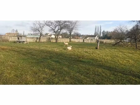 vente terrain 1100 m² à saint-loup (03150)  21 000 €