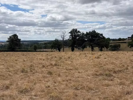 vente terrain 1416 m² à saint-vincent-bragny (71430)  33 000 €