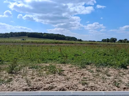 vente terrain 771 m² à sigoulès (24240)  42 405 €
