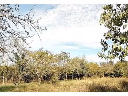 vente terrain 1100 m² à doussay (86140)  25 000 €