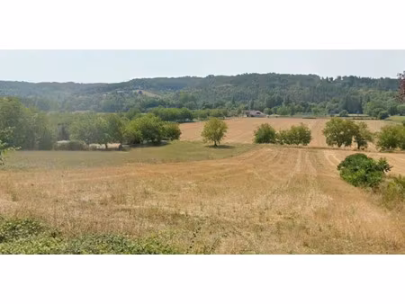 vente terrain 3800 m² à grignols (24110)  23 000 €