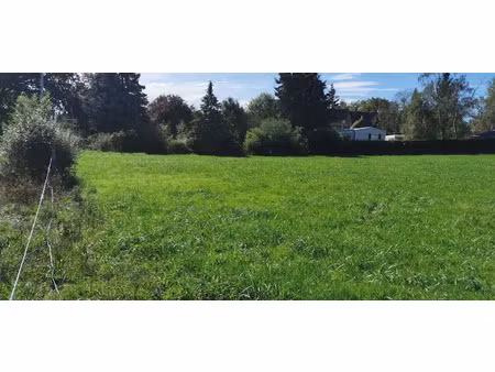 vente terrain 2561 m² à meillard (03500)  33 500 €