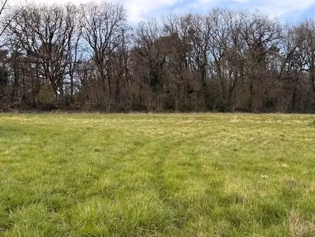 vente terrain 1352 m² à proissans (24200)  33 800 €