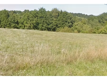 vente terrain 3192 m² à rouffignac-saint-cernin-de-reilhac (24580)  45 000 €