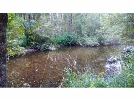 vente terrain 24343 m² à coulanges (41150)  44 000 €